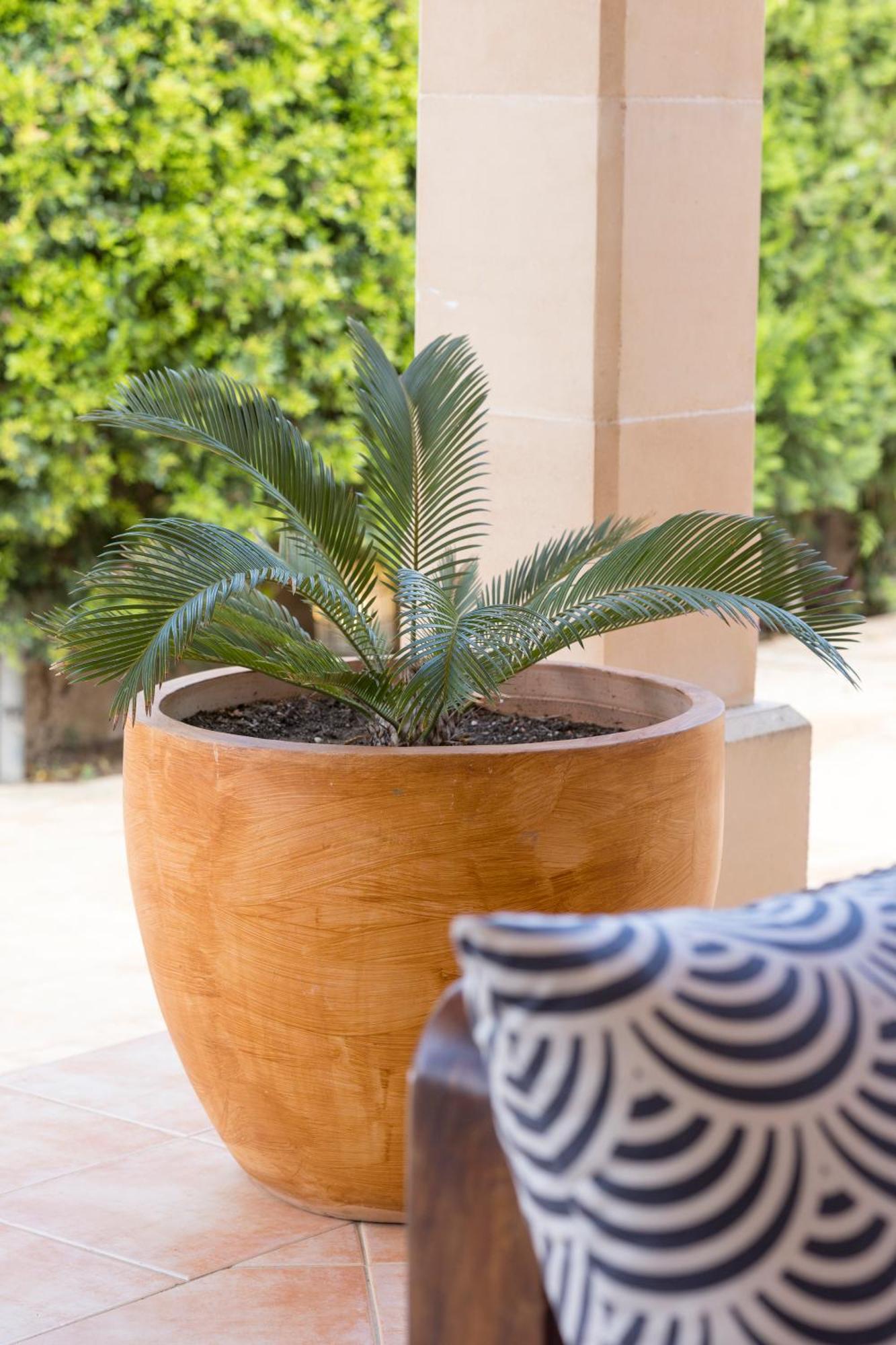 Villa Mestral Alcudia (Mallorca)